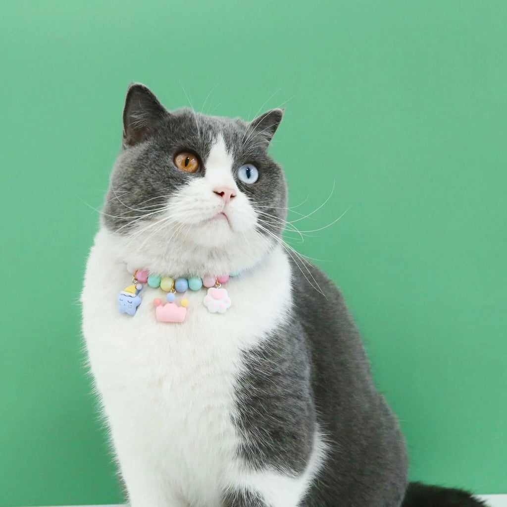 Colourful macaron charm pet collar and bracelet set for rabbits, cats, and dogs in three sizes.