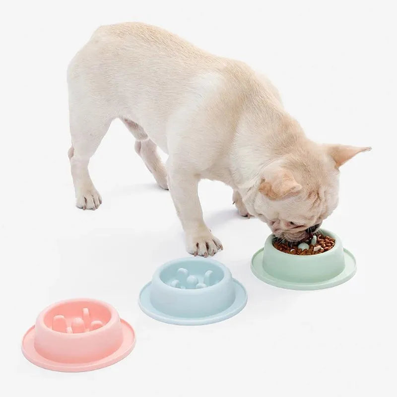PP plastic slow feeder pet bowl in macaroon colour with raised feeding obstacles