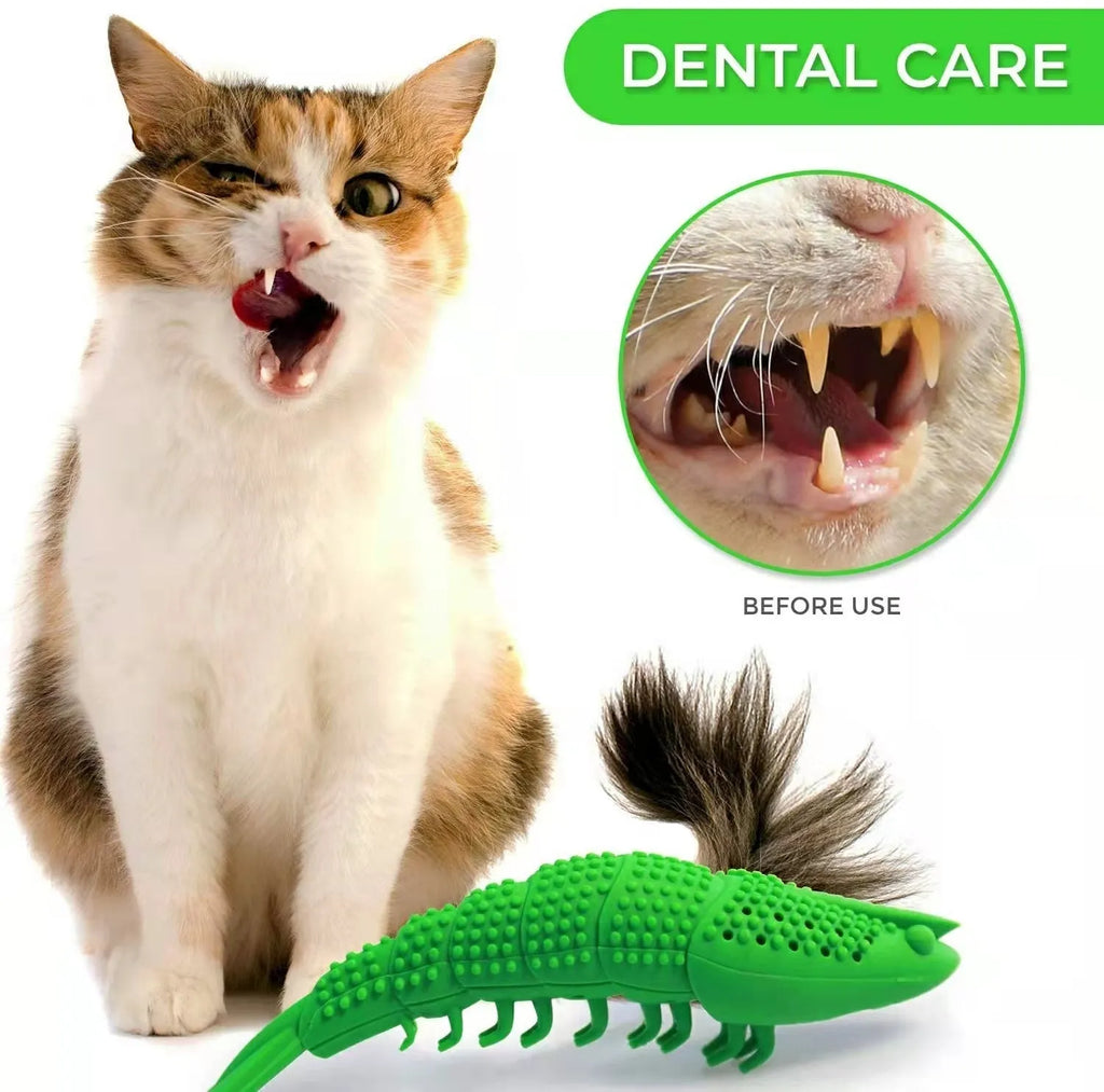 Blue catnip dental chew toy with rubber bristles for teeth cleaning