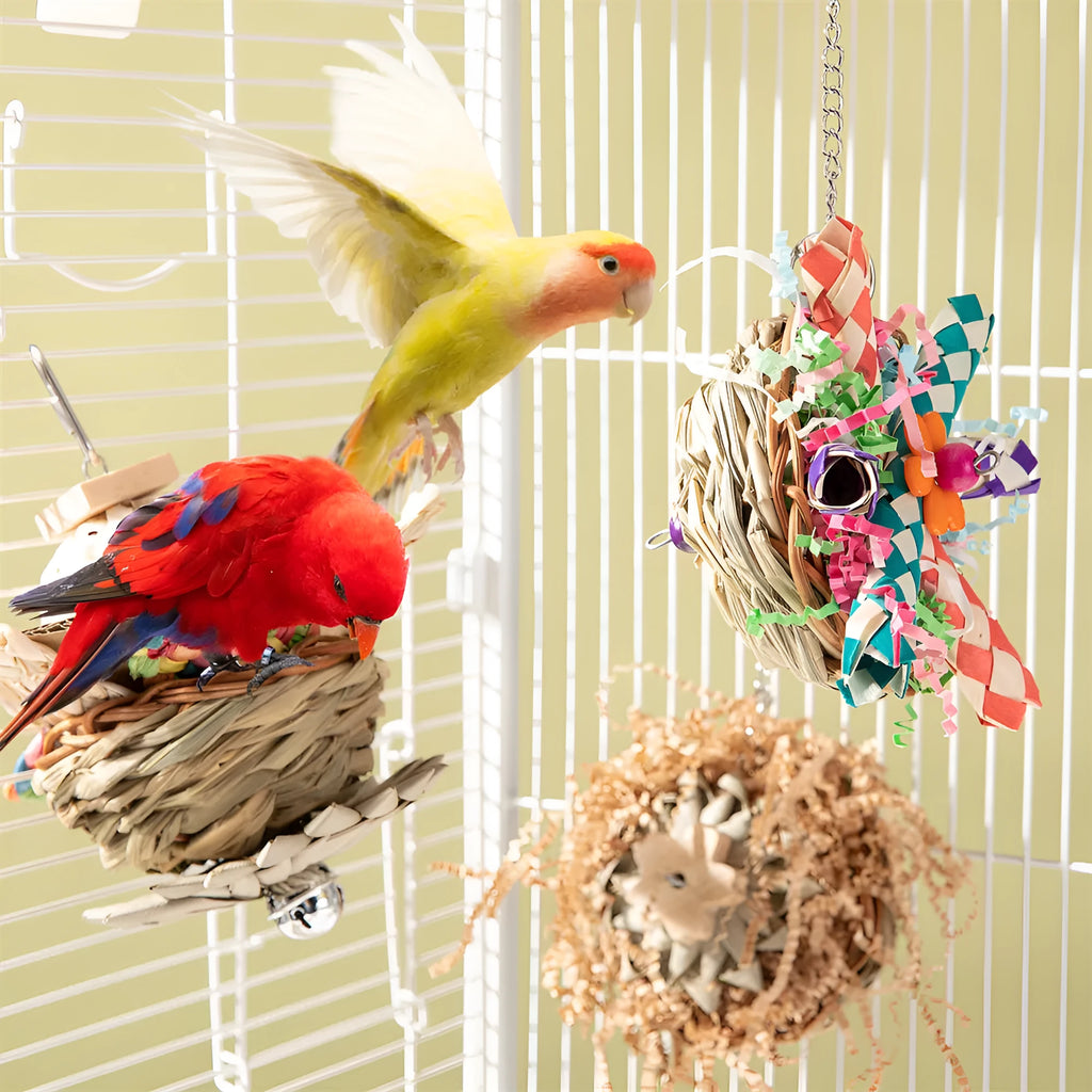 Parrot gnawing toy set with three wood and sisal rope chew designs for molar activity.
