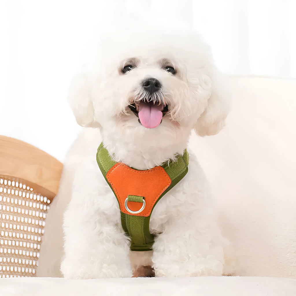 Retro dog hand holding rope pet harness chest strap in polyester, available in brown, green, and blue