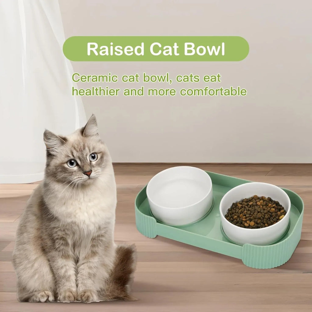 Green ceramic raised cat bowl set with two bowls on a tilted stand, showing non-slip base.