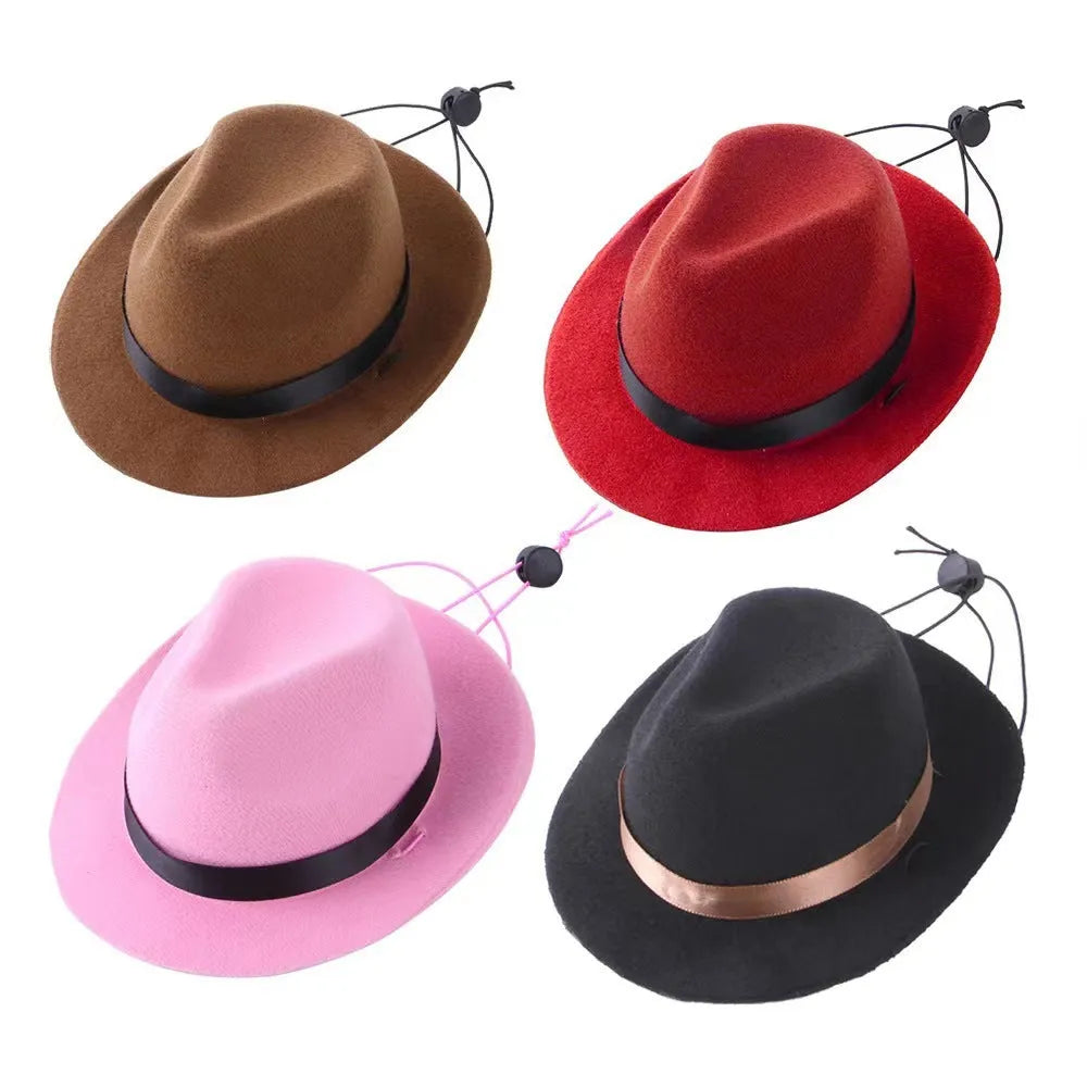 Wool felt pet hat S size 155cm diameter for small dogs cats in black brown pink red colours