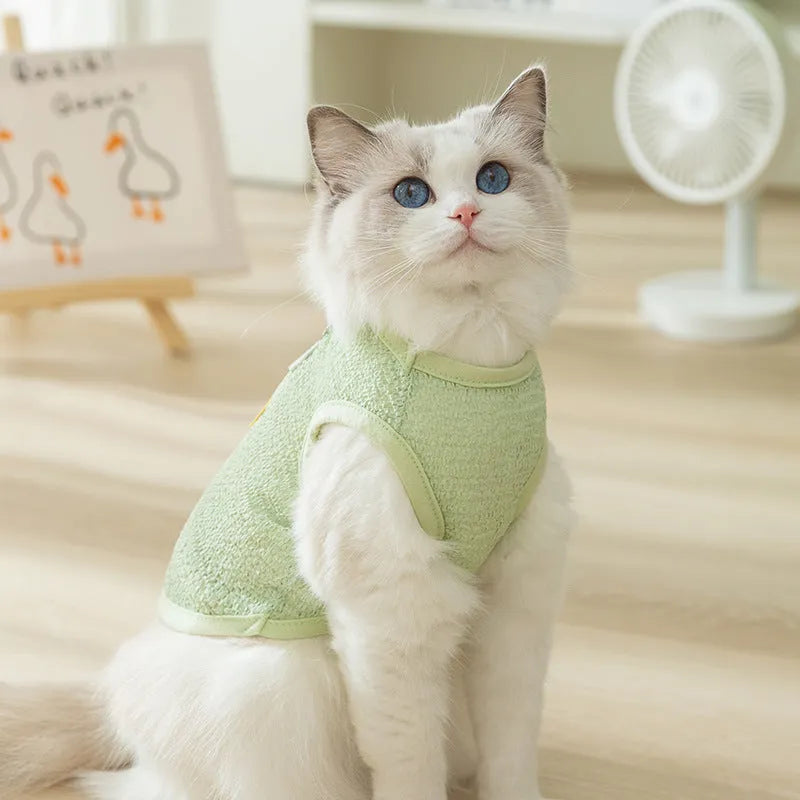 Cat clothes with bear patch in hollowed-out knitted fabric, available in blue green yellow colours