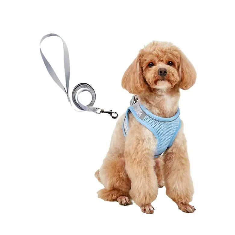 Small dog polyester rope leash with breathable vest chest strap in colours Style1 to Style13, sizes XS to L