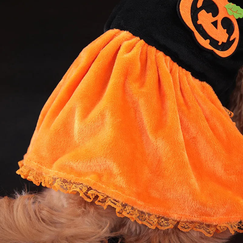 Orange crystal velvet Halloween pumpkin skirt costume on a small white dog.