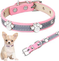 Reflective adjustable leather dog collar with cute paw rivet on a grey background