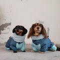 Dachshund in a Navy Blue thick cotton-padded four-leg jacket for autumn and winter, lambswool fabric