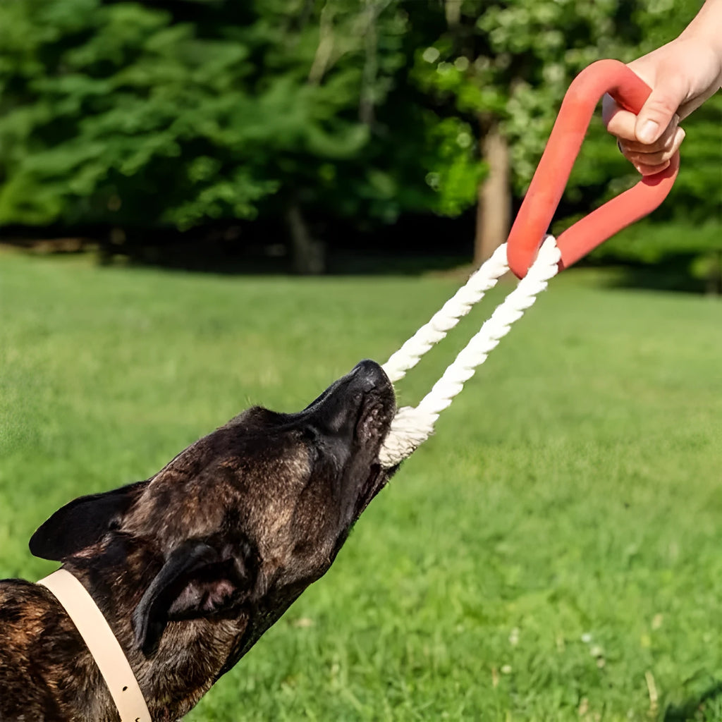 Large triangular cotton rope pull ring dog toy in beige, pink or purple colours
