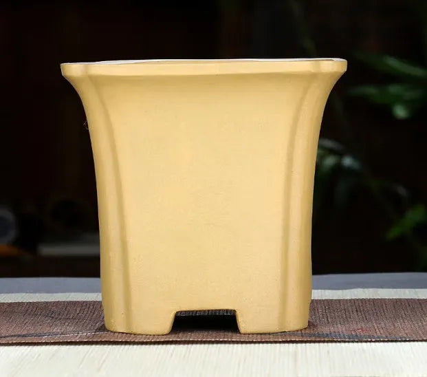 Classical square purple clay orchid pot in black colour, width 15.5 cm