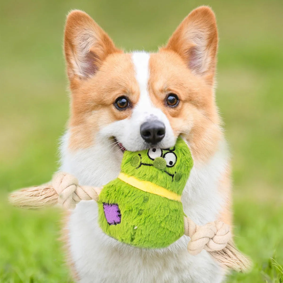 Green and purple interactive dog plush rope knot tug of war toy with bite-resistant design.