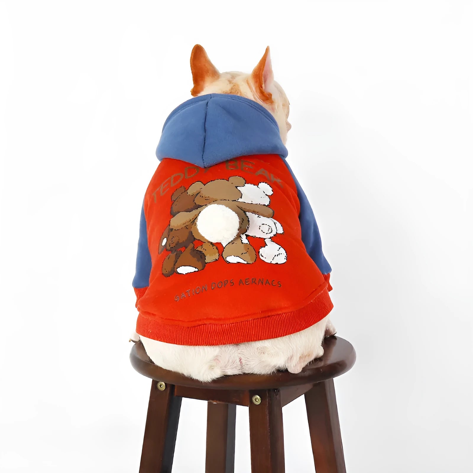 Red cotton dog clothing for small and medium breeds in autumn winter season