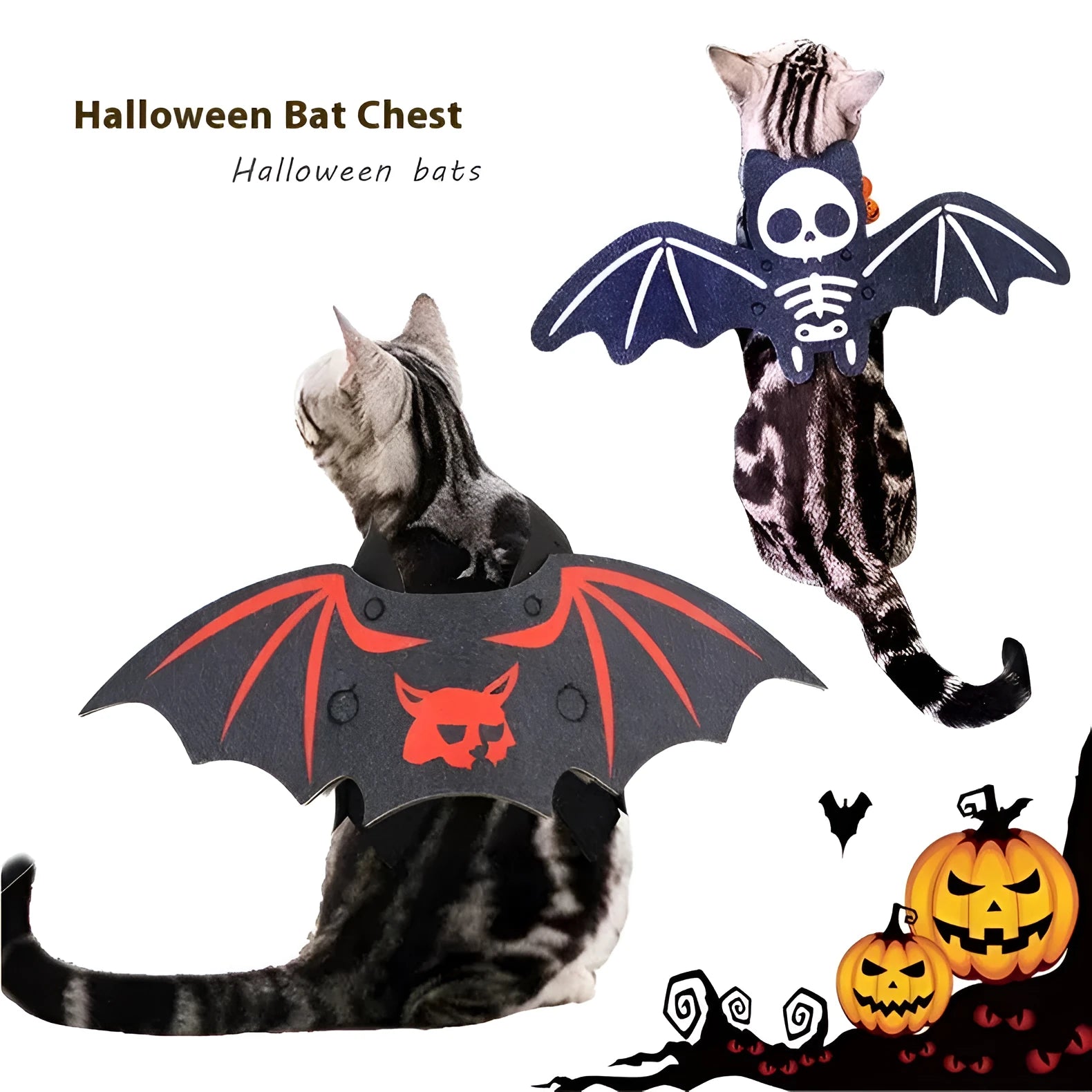 Halloween costume for a cat shaped like black bat wings, shown in orange pumpkin variant.