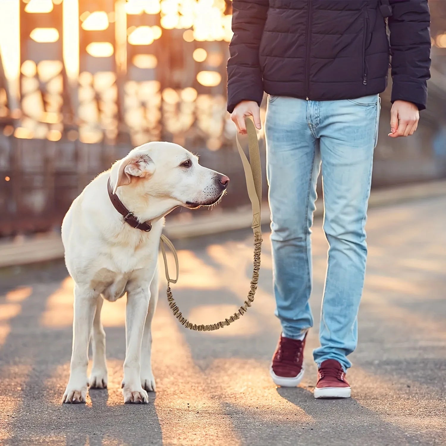 Retractable dog leash for large breeds with anti-burst safety technology