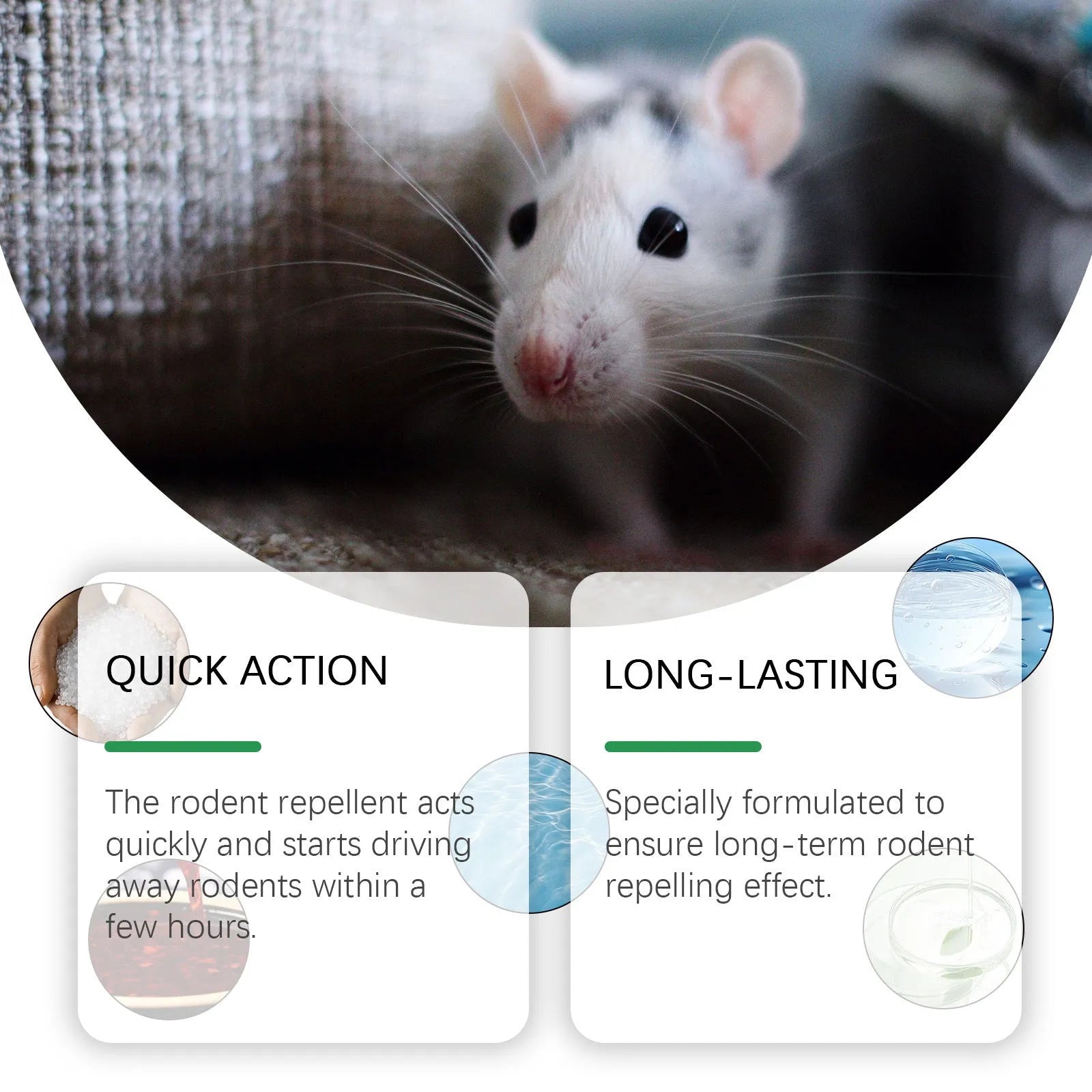 Outdoor mint-flavoured rat repellent spray 150ml bottle with peppermint and chili essential oils