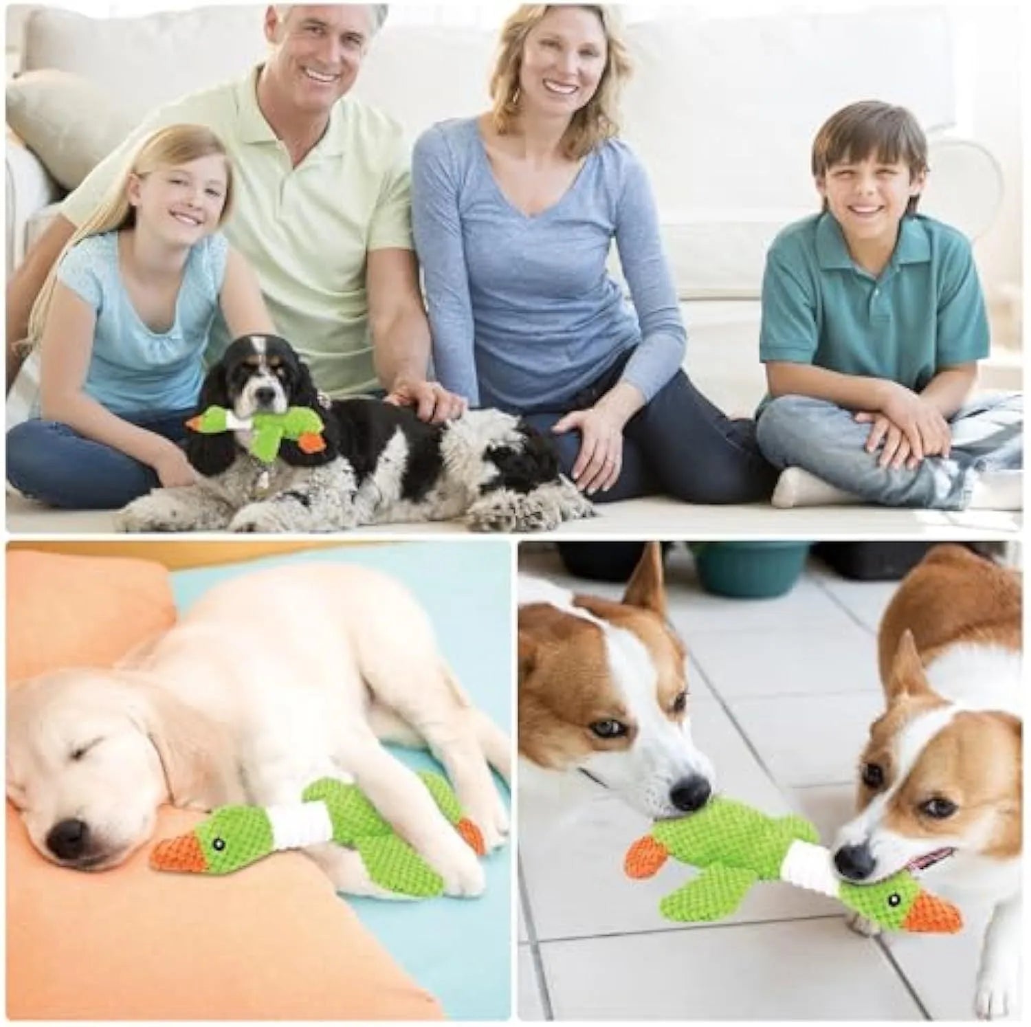 Blue duck plush dog toy with squeakers for chewing and interactive play