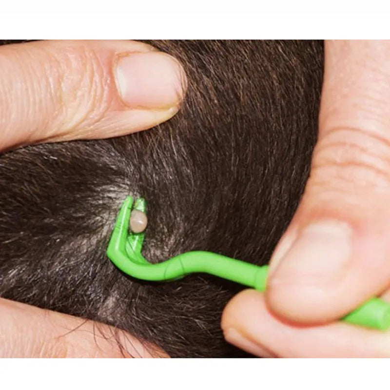 Three plastic pet tick removal hook tools in blue and green colours