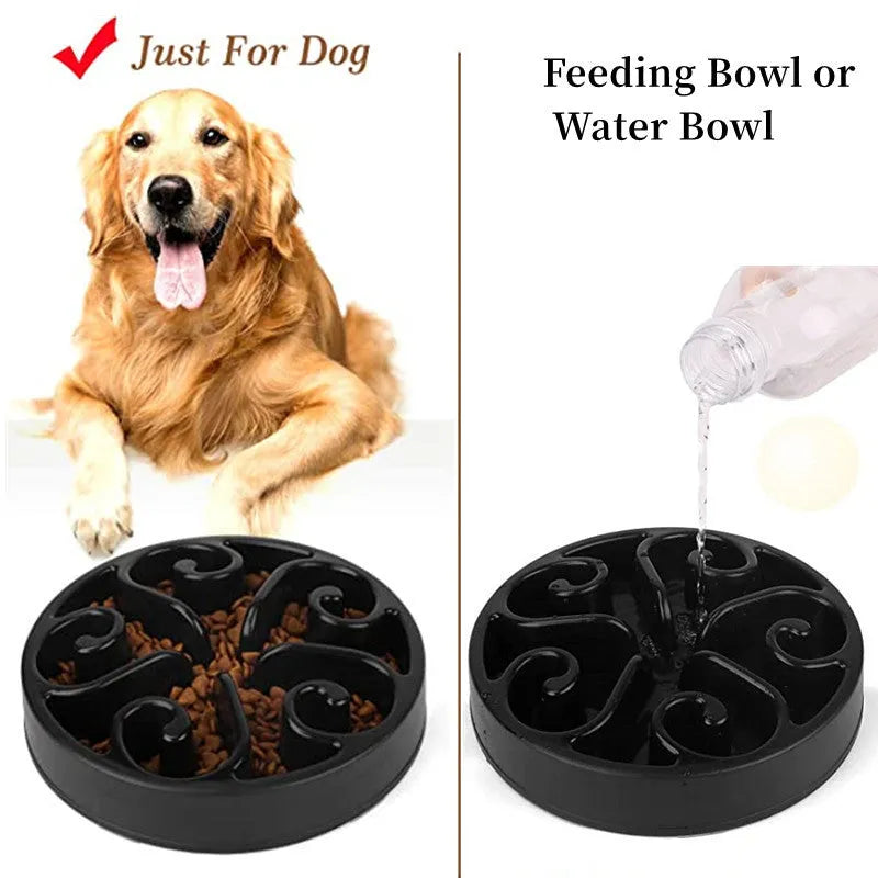 A coloured slow feeder dog bowl with a maze pattern inside and a wide non-slip base.