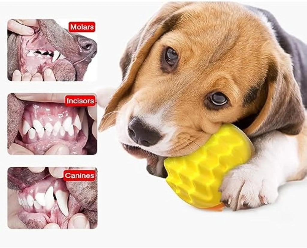 Blue or orange durable rubber squeaky dog ball with spiky texture for teeth cleaning and floating fetch play