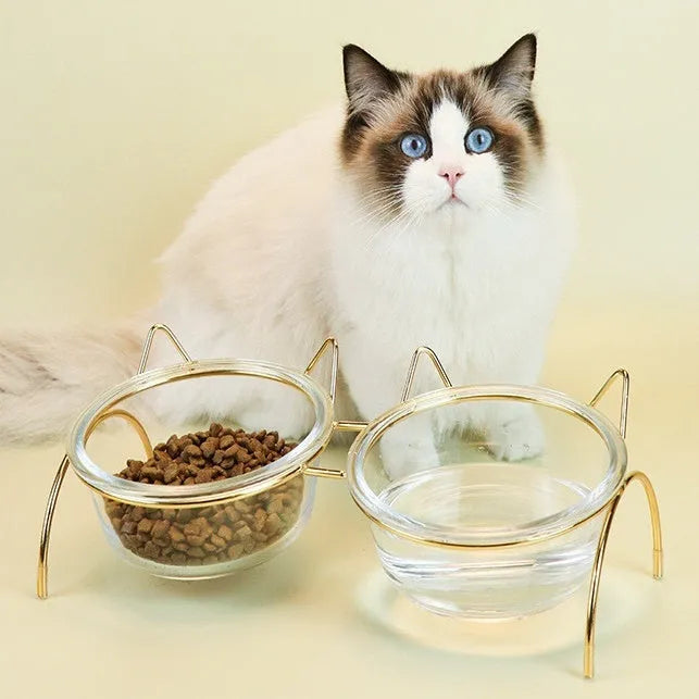 Raised glass cat bowl with golden metal rack and non-slip sleeves, 31x15x13.5cm, for pet food or water