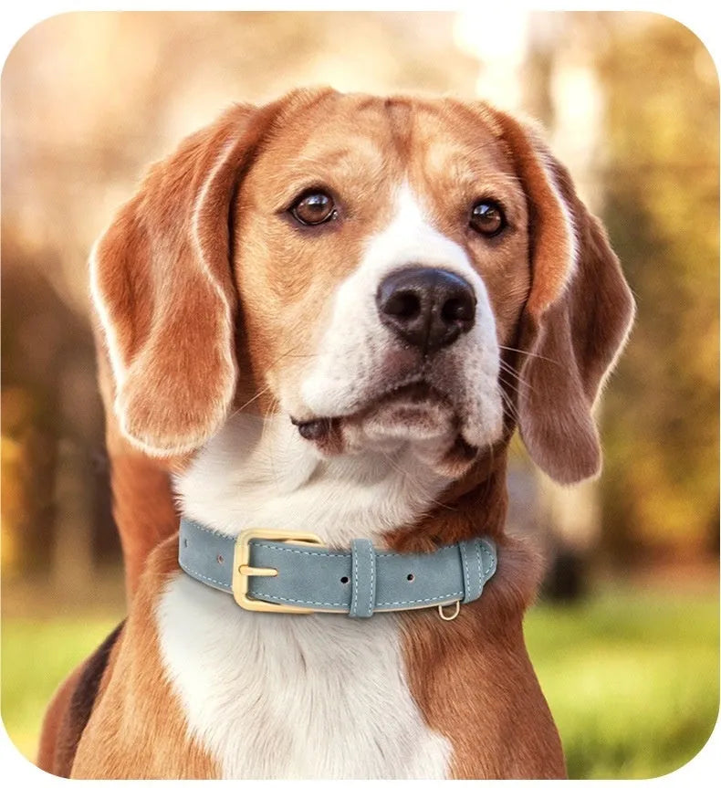 A brown double-layer leather dog collar with a matching lead and stainless steel buckle on a wooden surface.