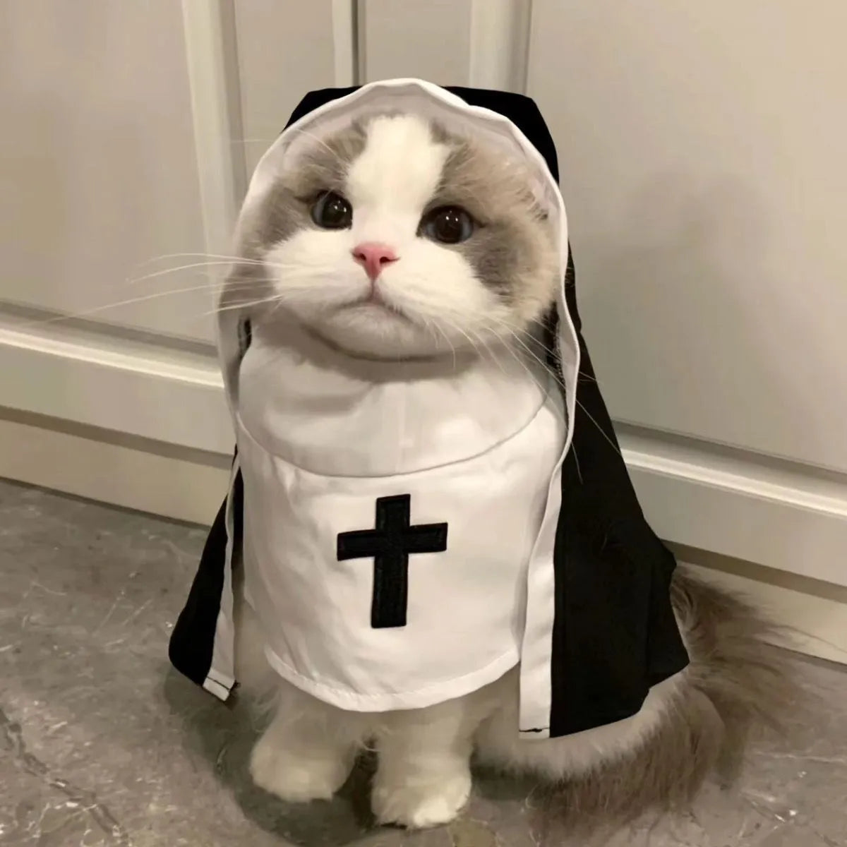 Black and white nun costume cloak for a small dog on Halloween