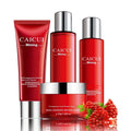 Pomegranate skincare set with four products: cleanser, toner, lotion and facial cream