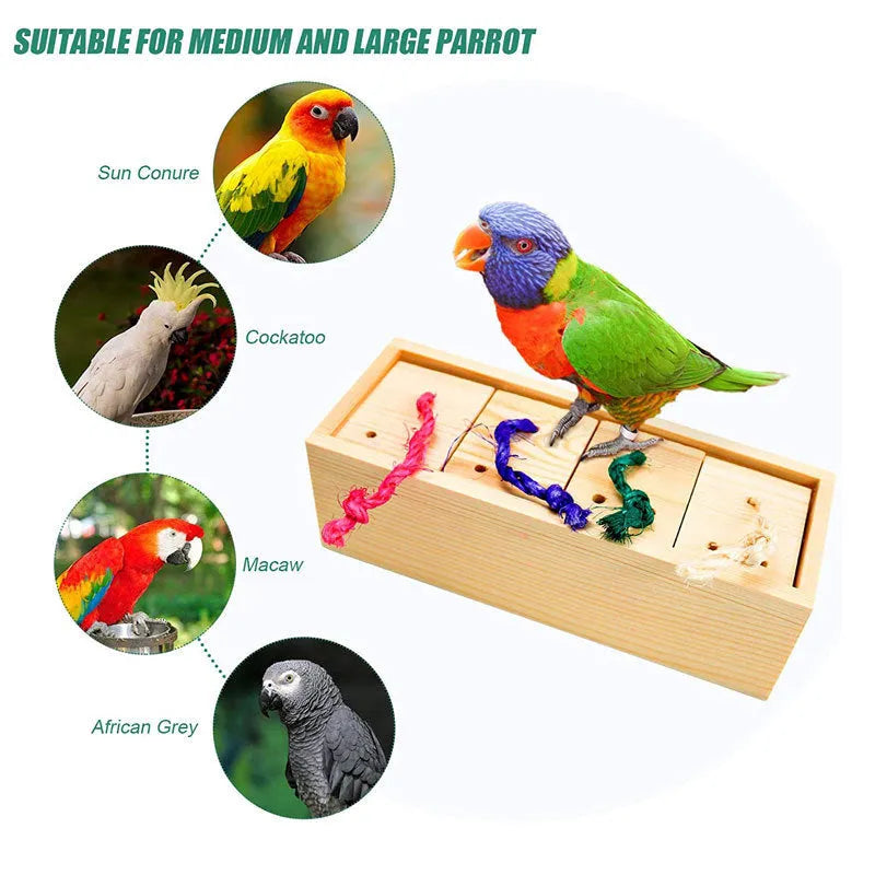 Wooden bird toy puzzle training set with three pieces on a light background
