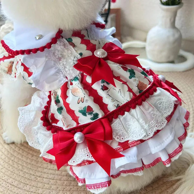 Small white dog wearing a light-coloured princess dress with a fluffy rabbit skirt attached.