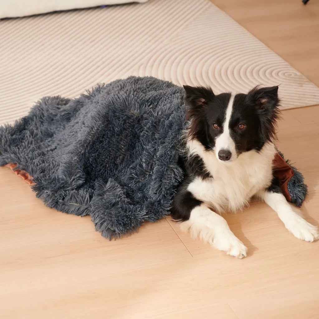 Light grey velvet plush pet blanket shown on a sofa, with a small dog lying on it.
