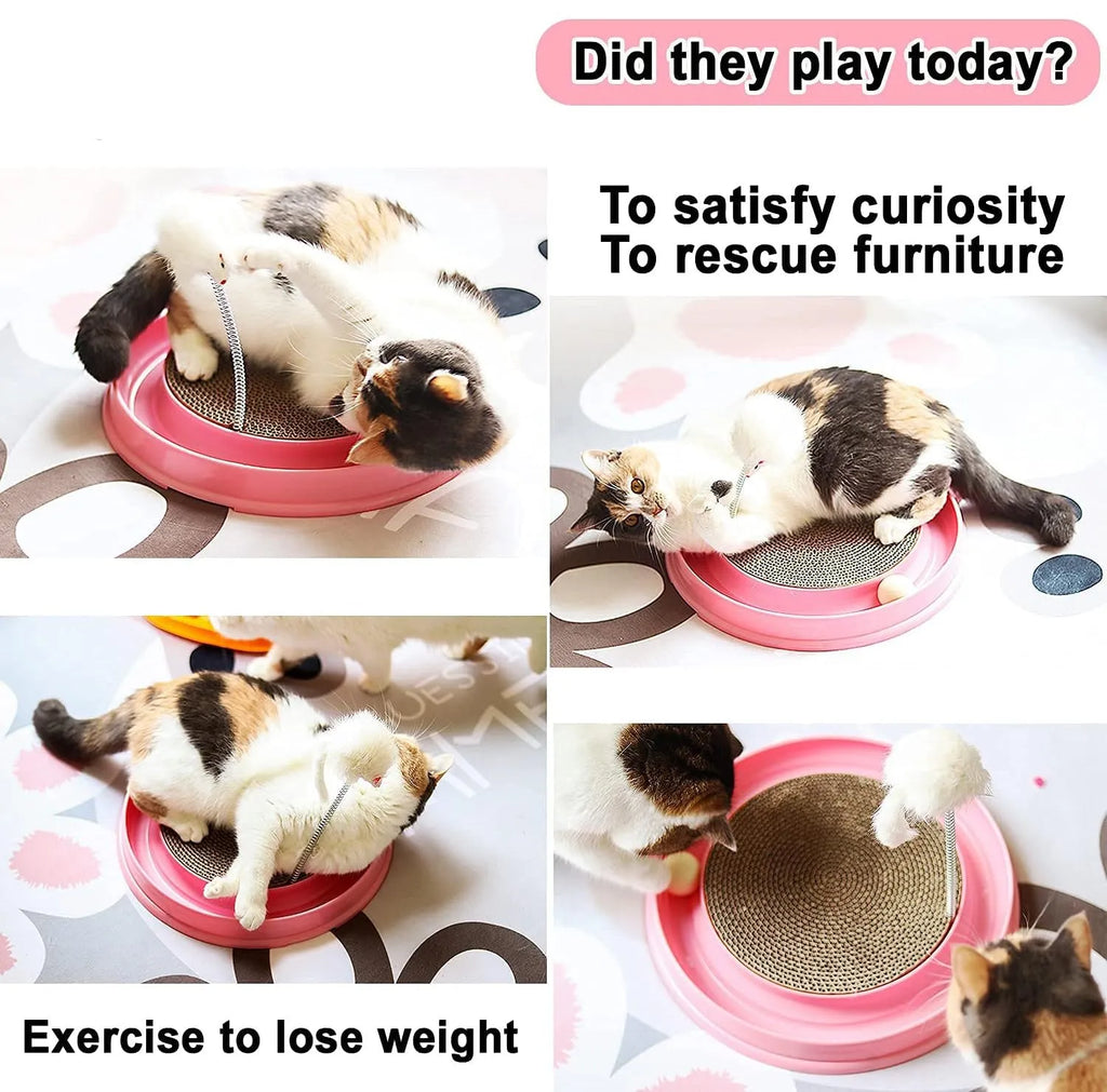 Blue interactive cat scratcher toy with ball track and replaceable cardboard scratching surface