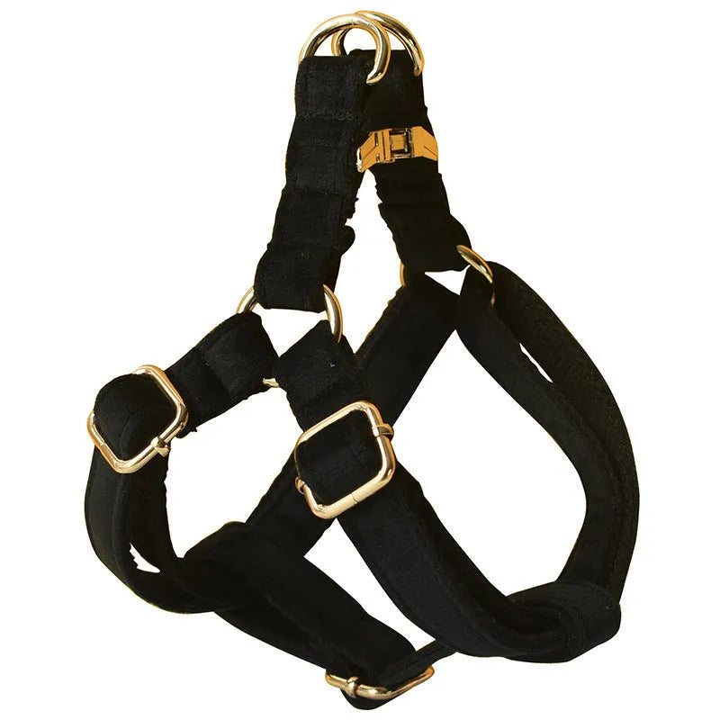 Black flannel dog harness with gold buckle on a light background, showing chest strap and leash