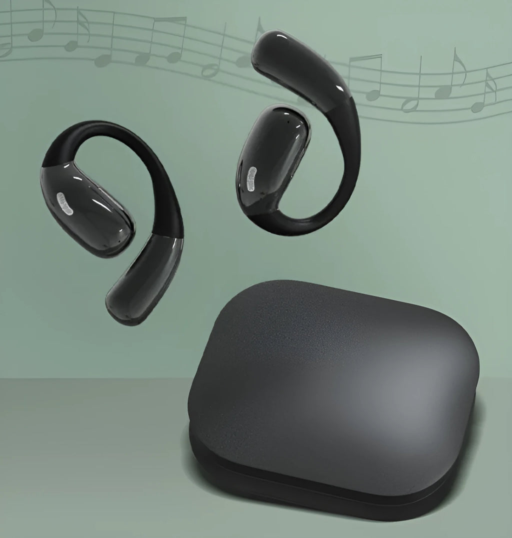 Bluetooth earphones A51 hanging design in black with charging case and Type-C cable
