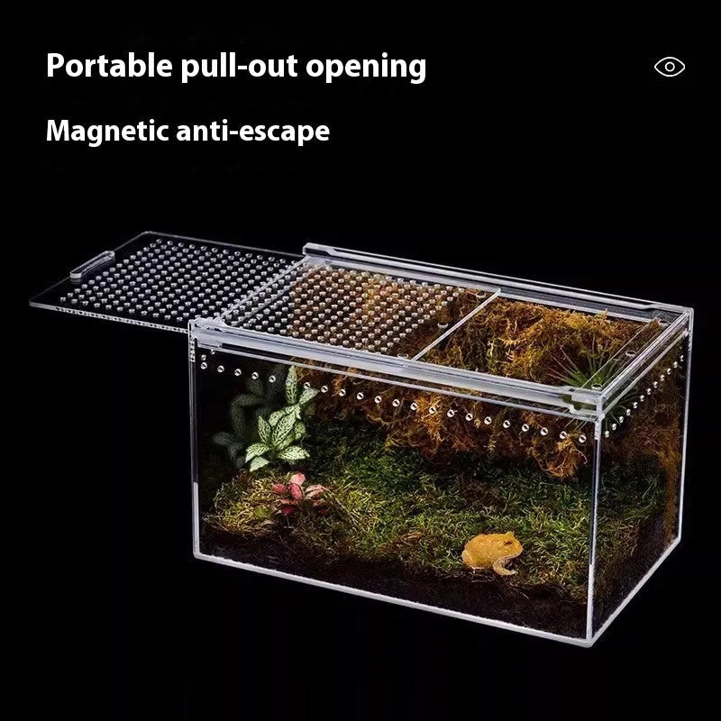 Clear acrylic reptile feeding box showing transparent sides and ventilation, next to a size chart.