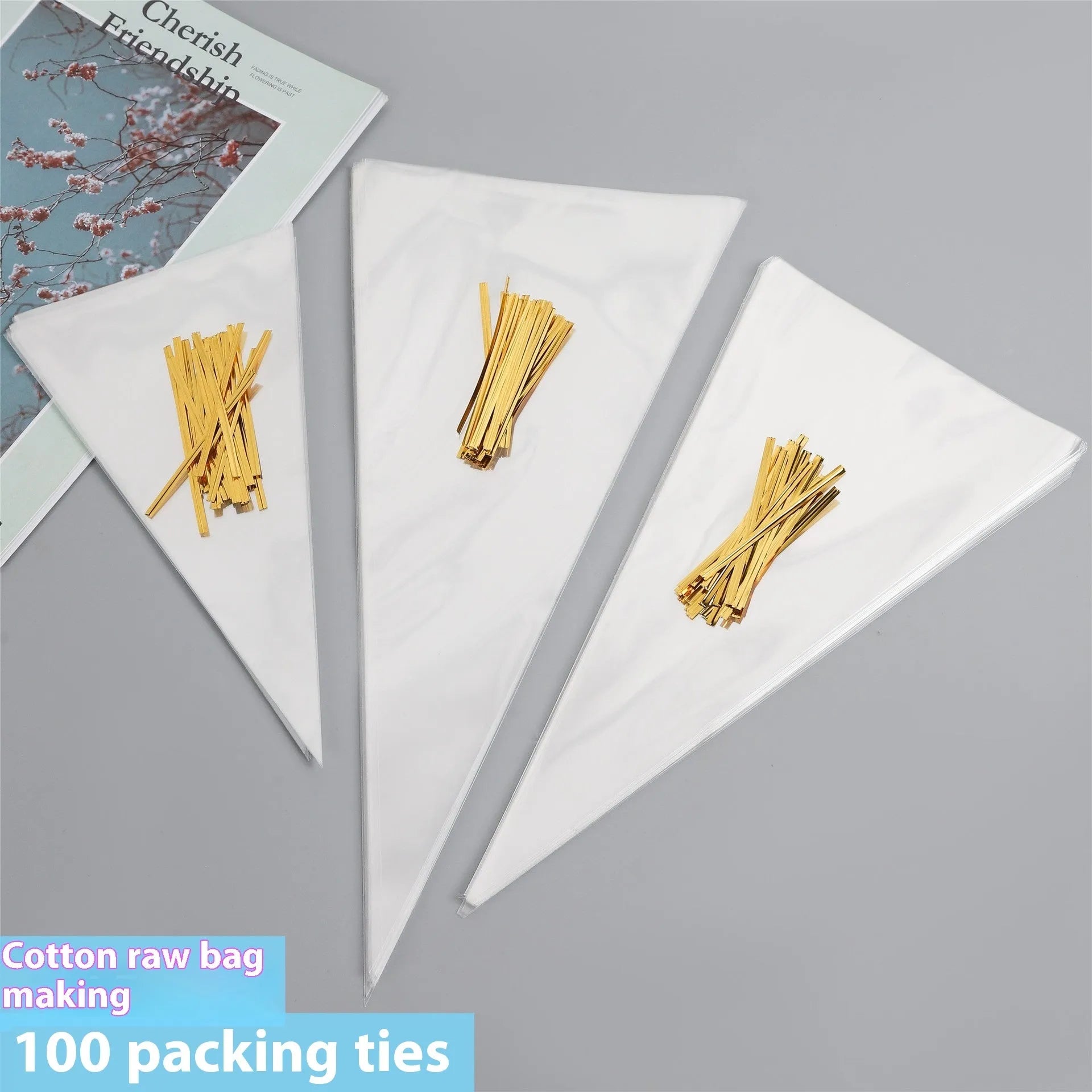 Clear triangular OPP plastic packaging bag showing the integrated tie wire closure at the top.