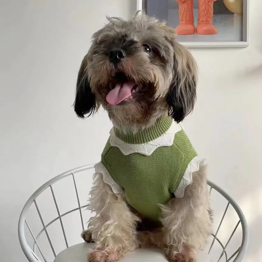 Green fleece pet sweater with flower blossom pattern showing size chart for dogs and cats.
