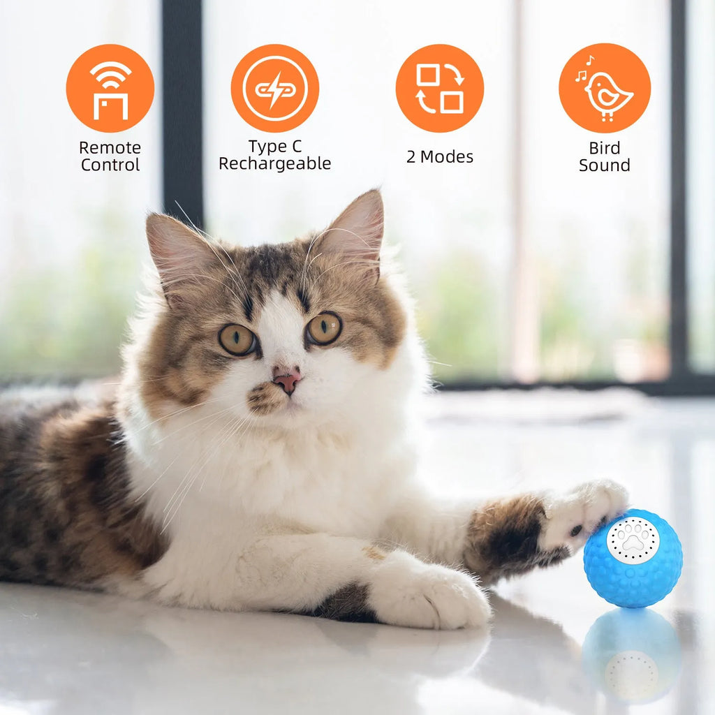 Remote control cat toy ball in blue colour with wireless controller