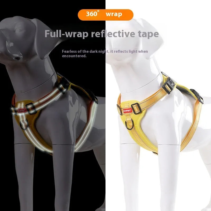 Polyester dog chest harness and leash in multiple colours and sizes