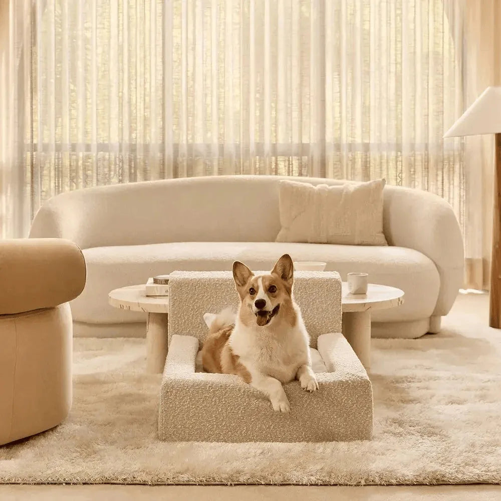 White rectangular dog mat with backrest and sponge filling in L size on a floor