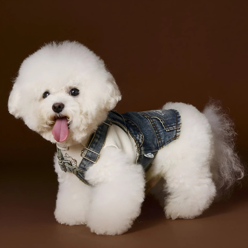 Denim suspender skirt pet clothing for small and medium dogs, 100% cotton, sizes XS to XXL, sleeveless casual style