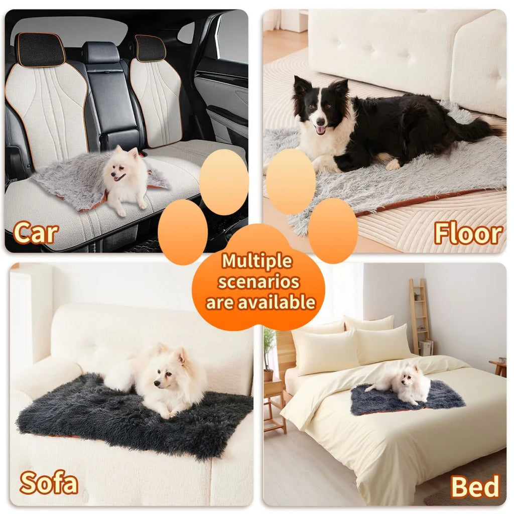 Light grey velvet plush pet blanket shown on a sofa, with a small dog lying on it.
