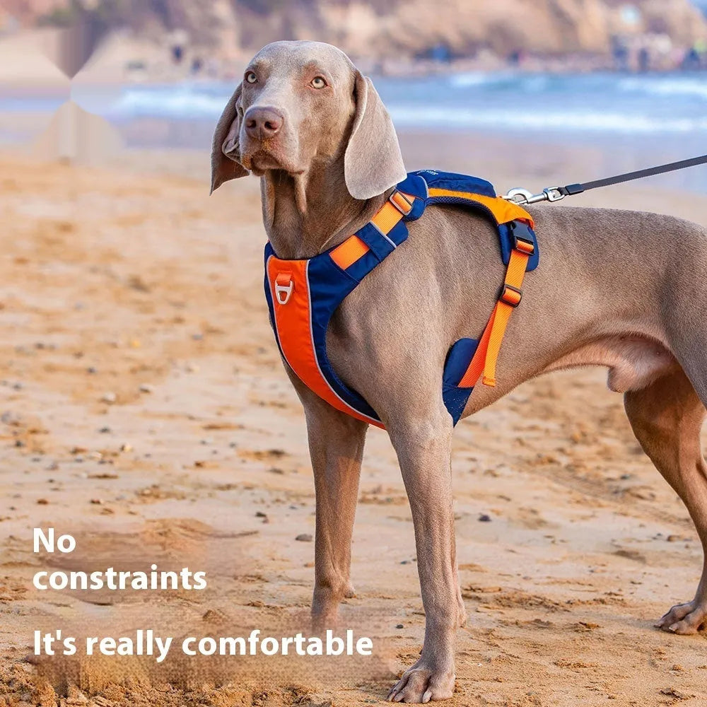 Nylon dog chest strap vest in orange-blue colour with adjustable sizing for different breeds