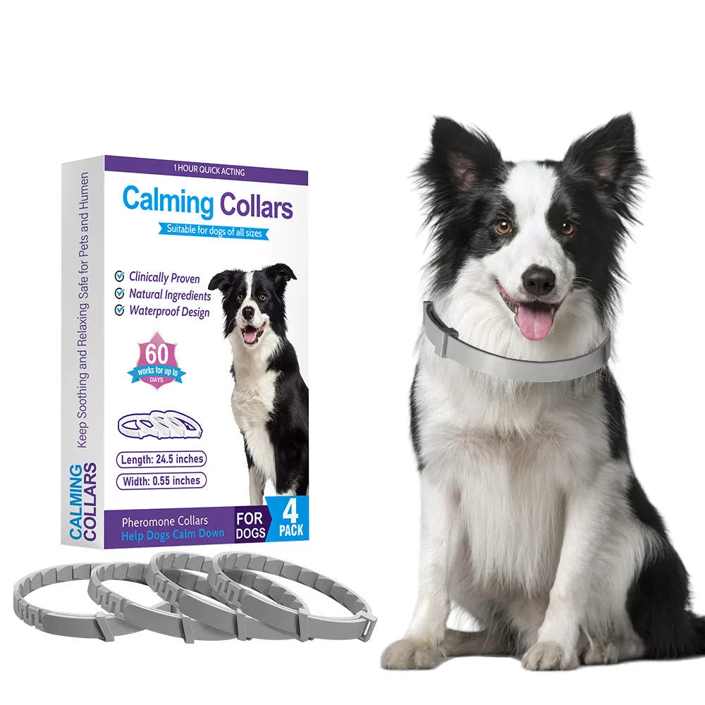 Set of four monochrome dog anxiety relief collars in different colours, showing buckle clasp and 62cm TPR band.