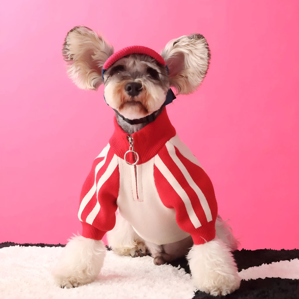 Puppy dog sports sweater cardigan in wool for men's pet clothing size S to XXL red or dark green