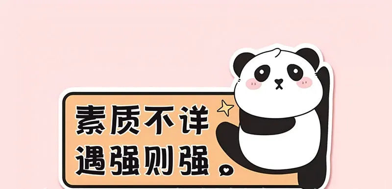 Panda design car sticker for female beginner drivers measuring 23cm by 12cm