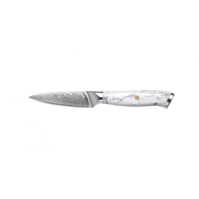 Damascus pattern VG10 steel combined chef's knife with 21cm blade and 11cm handle
