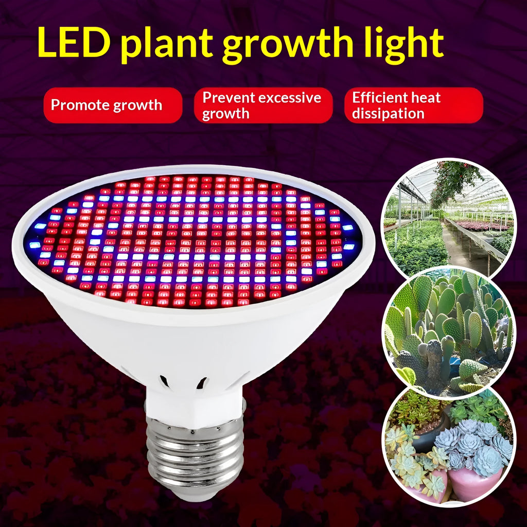 Red-blue spectrum plant growth fill light with 126 beads and PC shell on a shelf