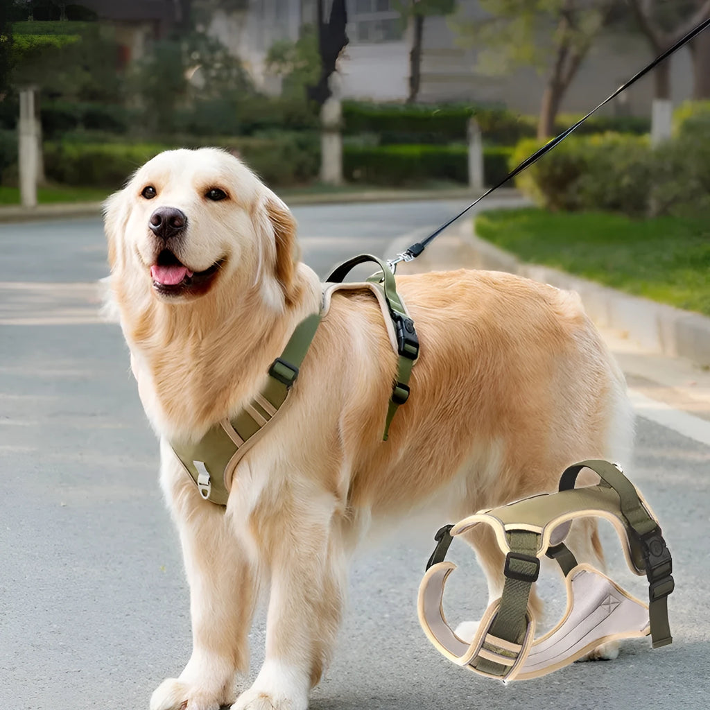 Pet Dog Harness Chest Strap Hand Holding Rope Oxford Cloth Adjustable for 4kg-24kg Dogs Army Green Sky Blue Black Red S M L XL Sizes