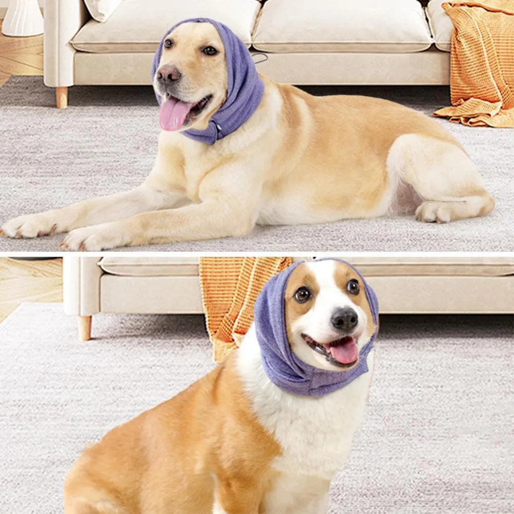 Black dog hoodie with ear covers on canine model showing closure system