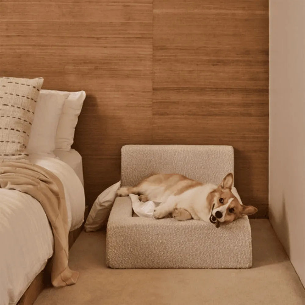 White rectangular dog mat with backrest and sponge filling in L size on a floor